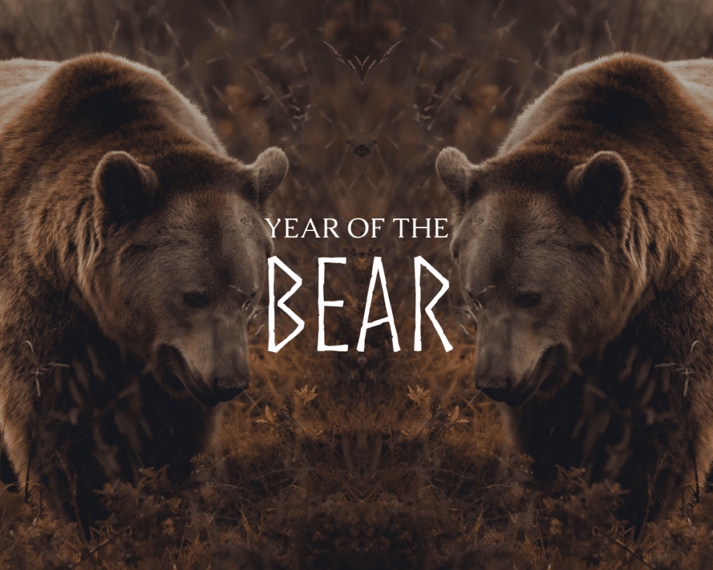 bear mirrored 2 times, text on the image is year of the bear